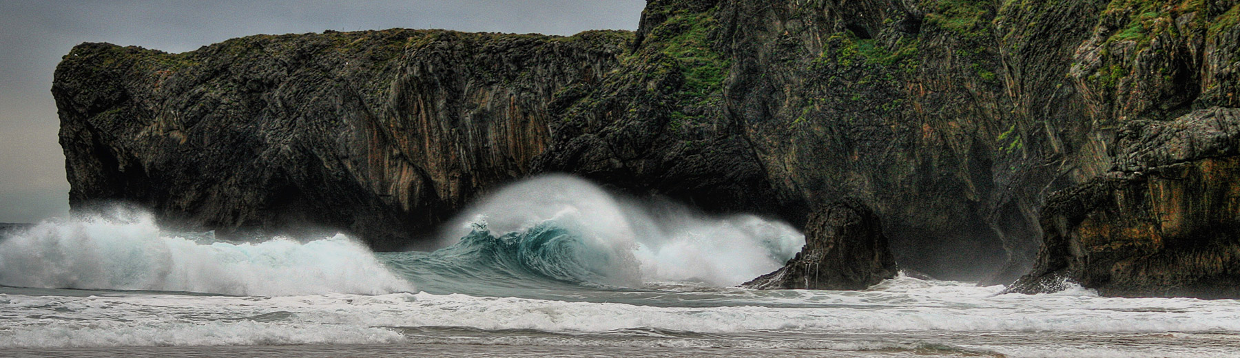 会社に必要とされる人材であれ